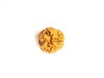 Three Rudraksha bead