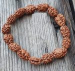 braclet with 2 mukhi