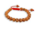 Genuine Rudraksha adjustable Bracelet