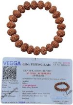 8 mukhi rudraksh for positive energy